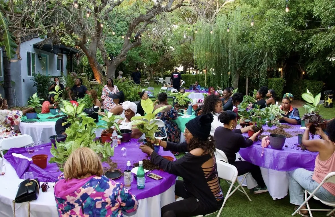 Soul Care Oasis, Garden Shot